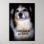 Perro sucio - Aussie con la piel fangosa y la cara Posters