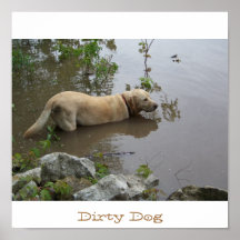 Perro sucio posters