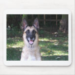 Perro Tapetes De Ratones