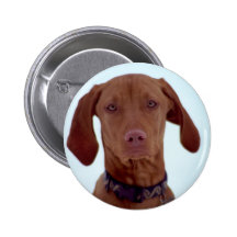 Perro triste pins