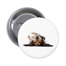 Perro upside-down pin