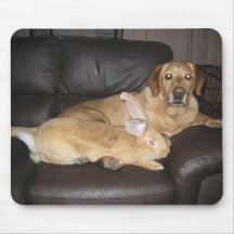 Perro y conejo Mousepad Tapetes De Ratón