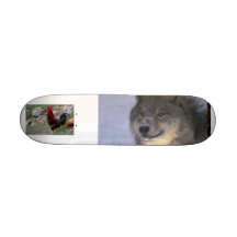 Perro y gallo monopatines