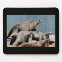 Perros de las praderas Mousepad