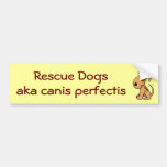 Perros del rescate de DG, aka perfectis del canis Etiqueta De Parachoque