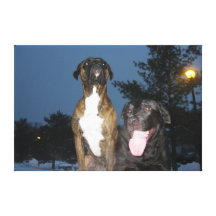 ¡Perros felices felices!! Impresion En Lona