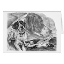 Perros ingleses del indicador tarjetas