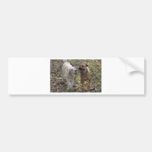 Perros Pegatina De Parachoque