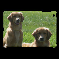 Perros perdigueros de oro fundas ipad mini