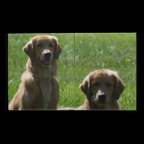 Perros perdigueros de oro fundas caseable