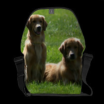 Perros perdigueros de oro bolsas messenger