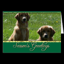 Perros perdigueros de oro de los saludos de la est tarjetas