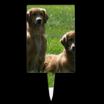 Perros perdigueros de oro palitos de tarta