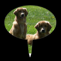 Perros perdigueros de oro palitos de tarta