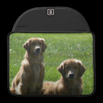 Perros perdigueros de oro fundas macbook