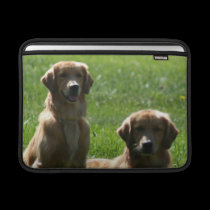 Perros perdigueros de oro fundas ipad