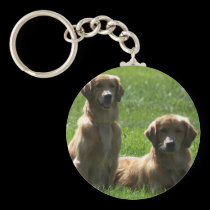 Perros perdigueros de oro llaveros