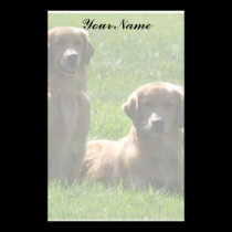 Perros perdigueros de oro papeleria