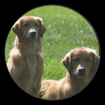perros perdigueros de oro pegatinas