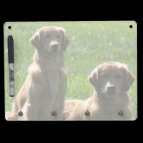 Perros perdigueros de oro pizarras blancas