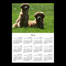Perros perdigueros de oro posters