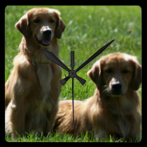 Perros perdigueros de oro reloj de pared