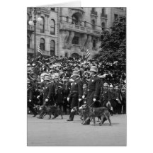 Perros policía en desfile: 1900s tempranos felicitación