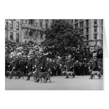 Perros policía en desfile: 1900s tempranos felicitacion 