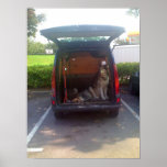 Perros Impresiones