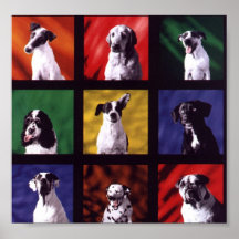 Perros Poster