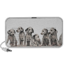 perros pupy del perro de perritos del perrito de l altavoces