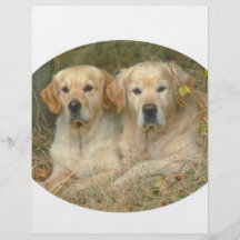 Perros Tarjetas Informativas