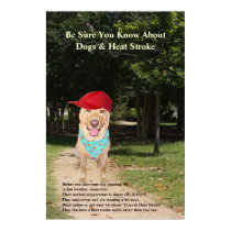 Perros y golpe de calor posters
