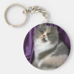 Persa, azul, tortie y blanco llaveros personalizados