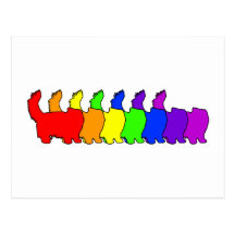 Persa del arco iris tarjeta postal