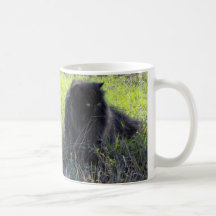Persa Tazas De Café