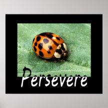 Persevere Poster