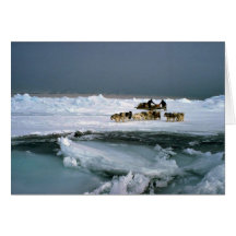 Persiga el viaje en el hielo, isla de Ellesmere, T Felicitaciones