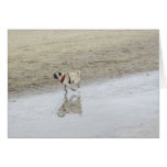 Personalizable Sid en la foto de la playa Tarjeta