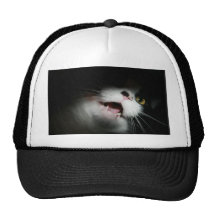 Personalizado grosero y refranes del gato gorros bordados