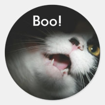 Personalizado grosero y refranes del gato pegatinas redondas