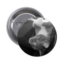 Perspectiva Pin