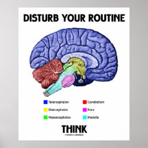 Perturbe su rutina piensan (la anatomía del cerebr posters