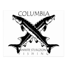 Pesca Columbia-Blanca del esturión - negro Postal