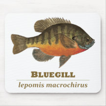 Pesca de la brema del Lepomis macrochirus Alfombrilla De Raton