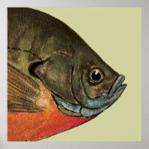 Pesca de la brema poster