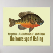 Pesca de la brema posters