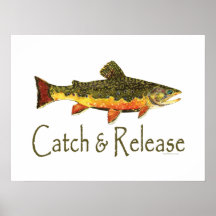 Pesca de la trucha de la captura y del lanzamiento posters