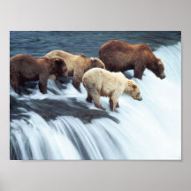 Pesca de los osos 2 poster