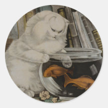 Pesca del gato persa etiquetas redondas